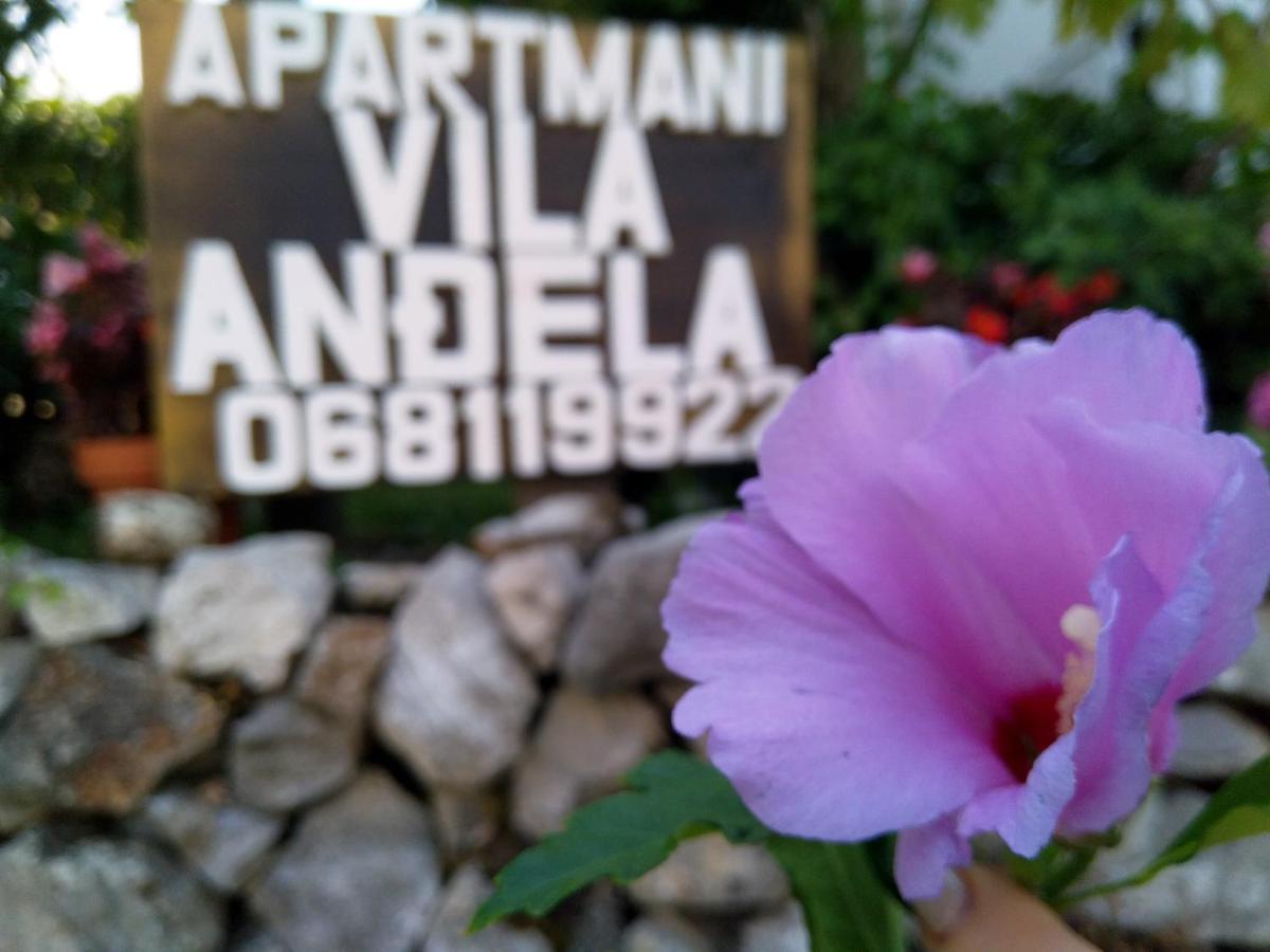 Apartments Villa Andjela Budva Exterior photo