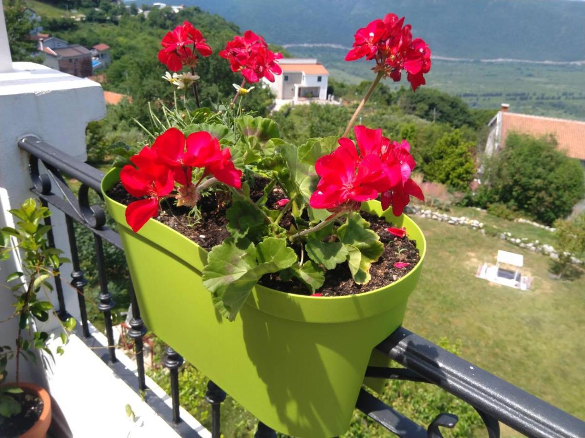 Apartments Villa Andjela Budva Exterior photo