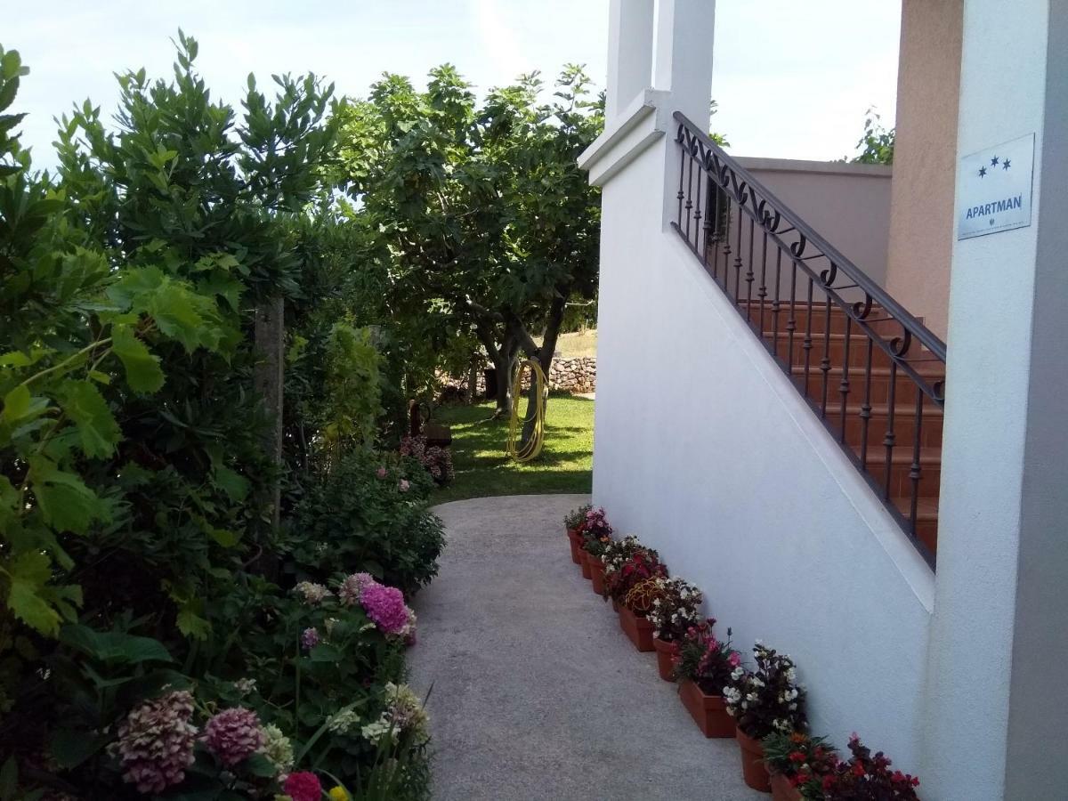 Apartments Villa Andjela Budva Exterior photo